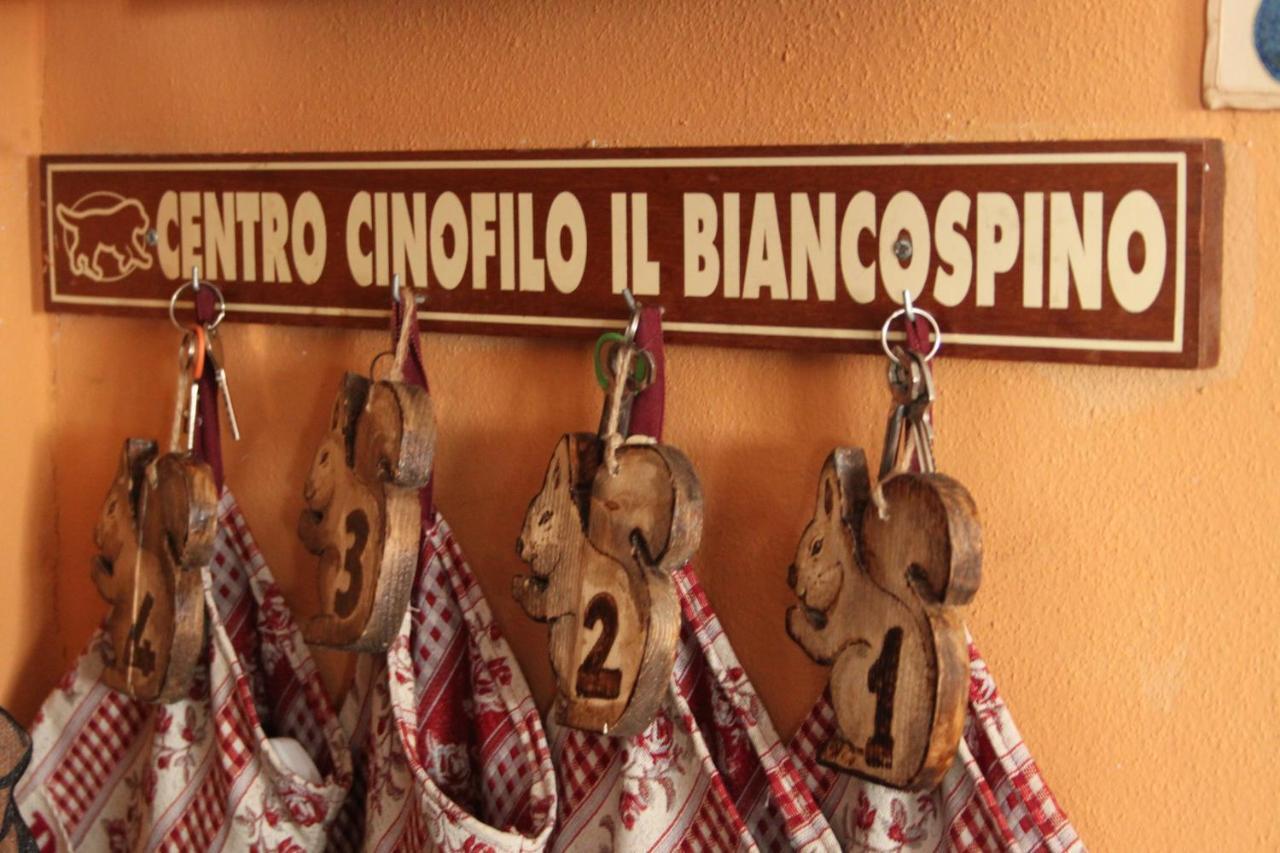 Il Biancospino Villa Casteggio Ngoại thất bức ảnh